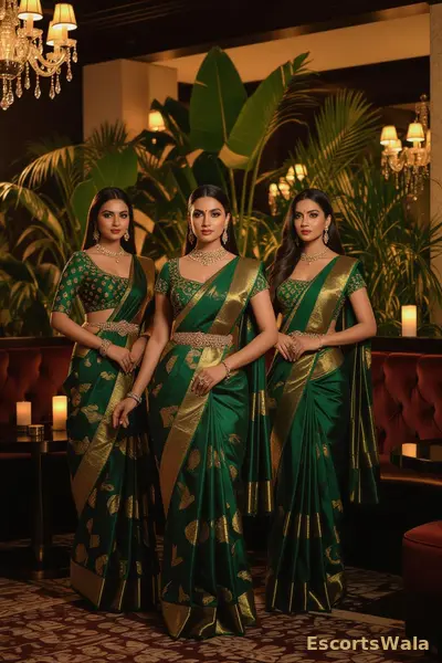 Neha Karol Bagh companion for central hotel and guest-house visits